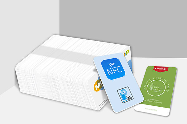 project-1 viewport preview